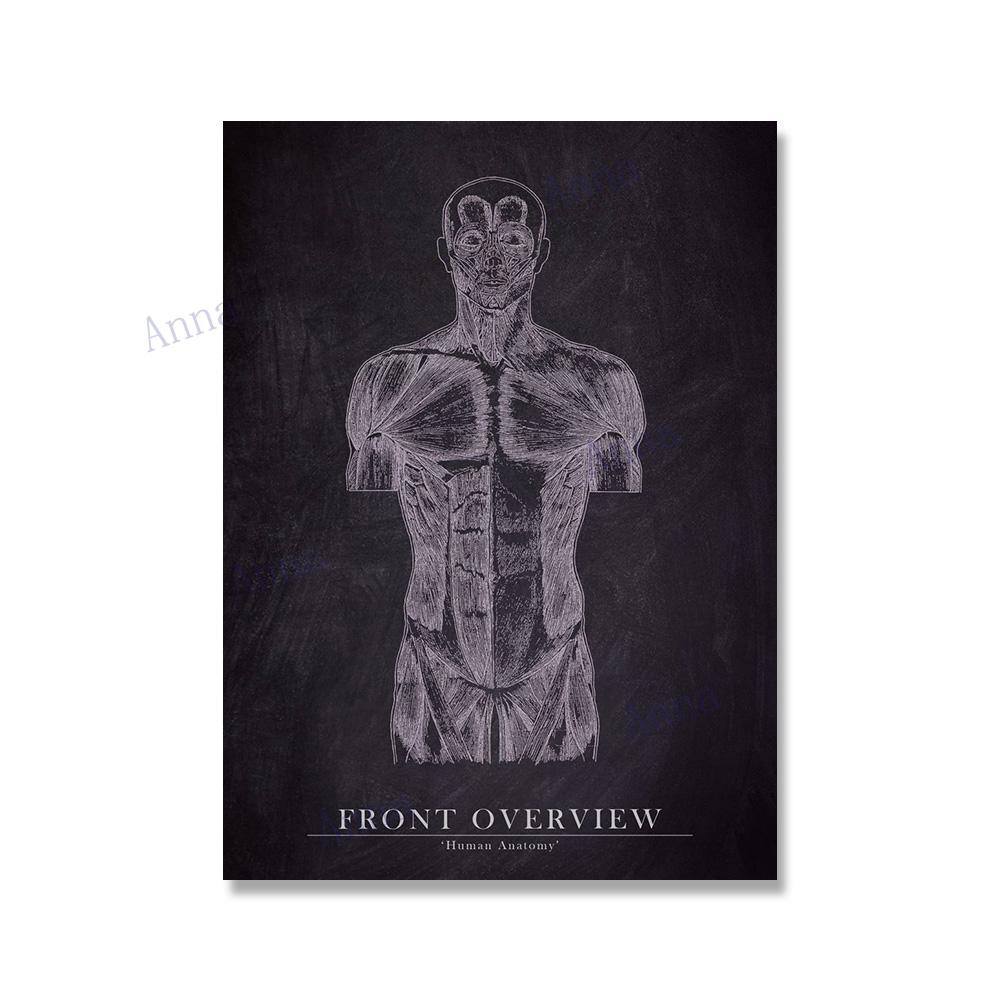 Muscle Foot Bone Heart Anatomy Skeleton Wall Art Canvas Painting Nordic Posters And Prints Wall Pictures For Doctor Office Decor