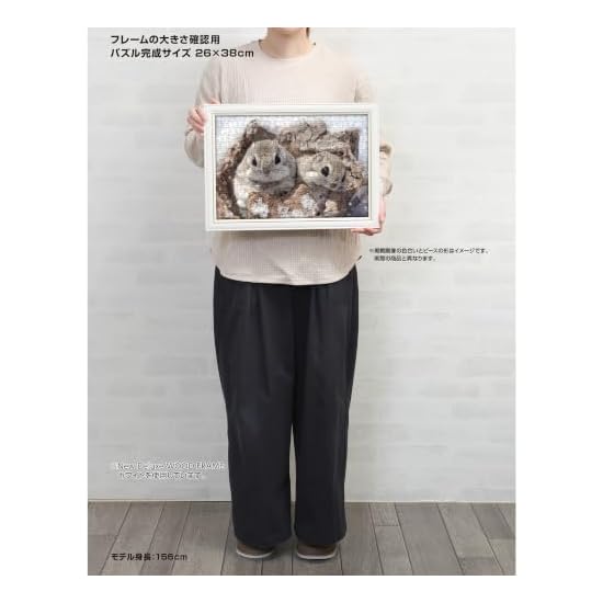 Yanoman [Made in Japan] 300-Piece Jigsaw Puzzle: Warm Ezo Flying Squirrel (26x38cm) 03-968, includes