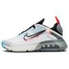 Air Max 2090 Pure Platinum Женские CT7698-100