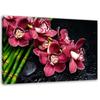 Canvas Print, Orchid On Bamboo