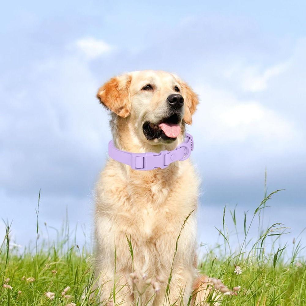 Идентификация питомца Ошейник для питомца Эластичная стропа Безопасная пряжка Цепочка Водонепроницаемый ошейник для собаки Щенки