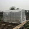 Garden Protect Insect Animal Netting Vegetables Crops Plant Mesh Bird Net