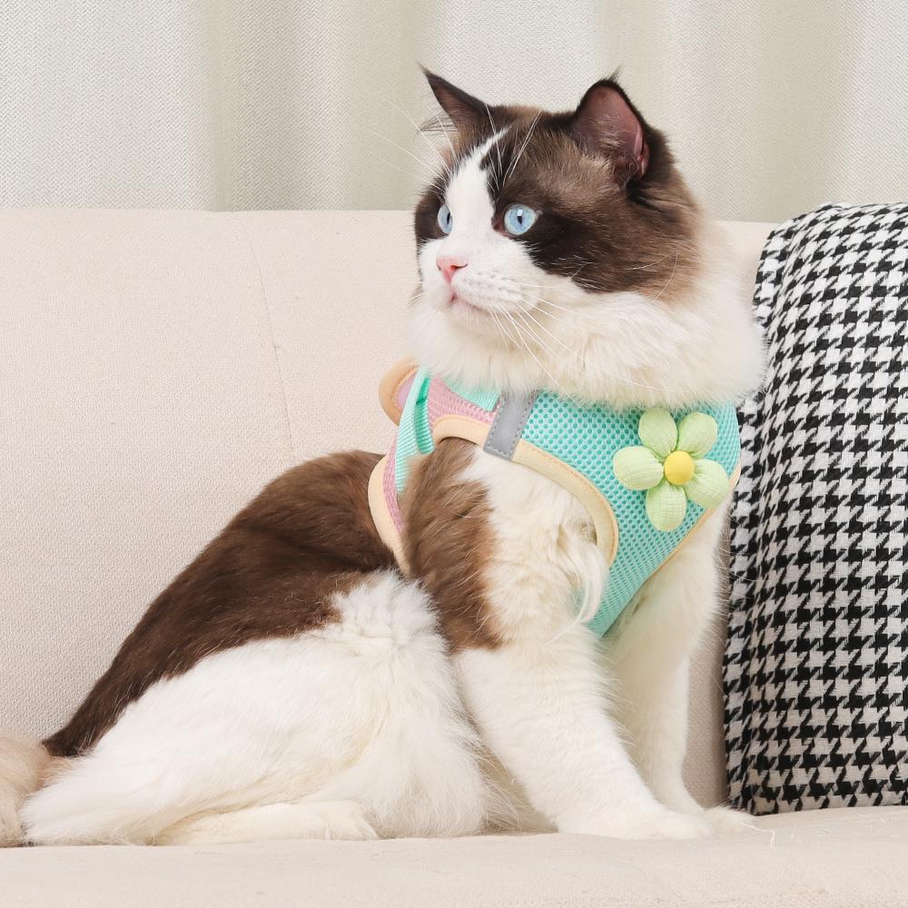 Двухцветный комплект поводков для кошек и собак, летний комплект, светоотражающие дышащие нагрудные ремни для маленьких собак и кошек, аксессуары для домашних животных