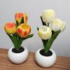 Лампа-тюльпан, комнатная декоративная настольная лампа, светодиодная имитация тюльпана, цветочный горшок, лампа, окружающий ночник