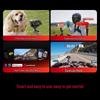 Insta360 Ace Pro 2 Flagship Action Camera (CN version)