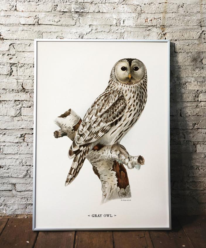 Owl Vintage Poster