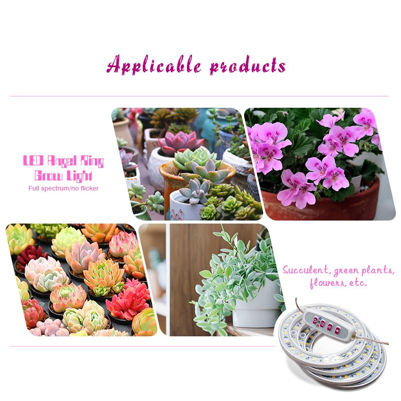 Светодиодный светильник Angel Ring Grow Light DC5V USB Full Spectrum Phyto LED для растений, цветов, теплиц, рассады, светильники для роста