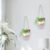 Glass Hydroponic Hanging Vase Transparent Flower Pot Flower Arrangement Bottle  Balcony