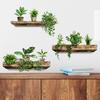 3Pcs/Set Creative Wall Stickers Potted Plant Decals Self-adhesive Removable Wall Mural DIY Wall Art Home Decoration Accessories