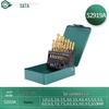 SATA Набор из 19 титано-покрытых спиральных сверл по металлу HSS
