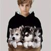 Boy's Trendy Cute Puppies 3D Pattern Long Sleeve Hoodies, Cozy Sweatshirts For Autumn And Winter