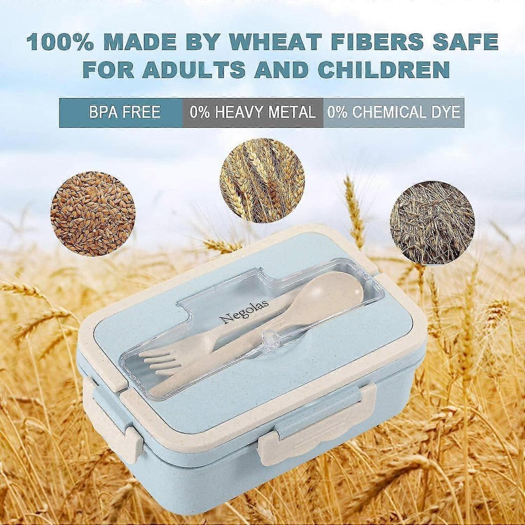 3 Comments Lunch Box With Cutlery For