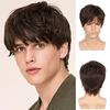 Men's Brown Fluffy Short Straight Hair