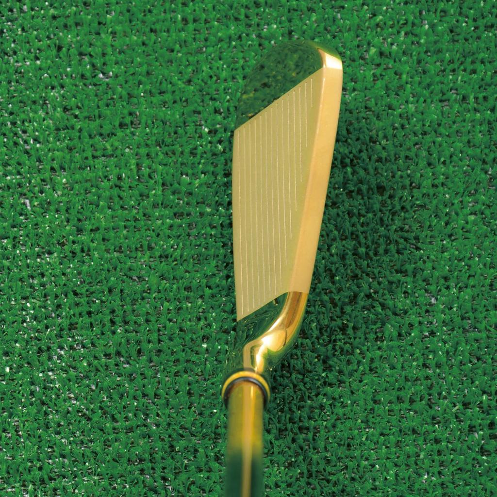 Набор из 7 предметов Mutsumi Honma MH608 Phoenix Gold Iron Iron