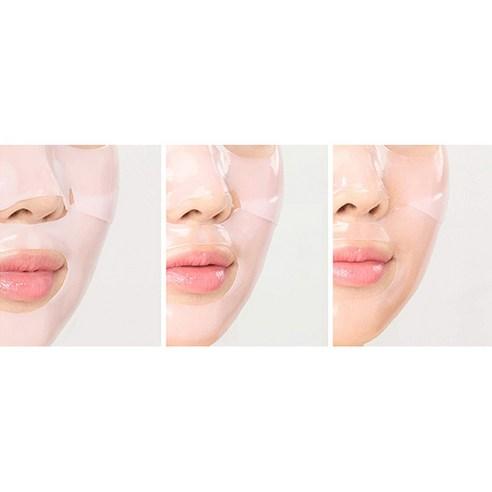 ROUND LAB Camellia Deep Collagen Firming Gel Mask Elasticity Care 34g x 4 Sheets