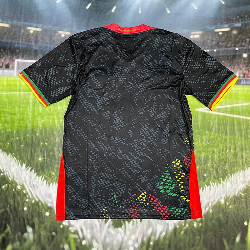 Cameroon Home and Away Jerseys 2024 Custom World Cup National Team Soccer Shirts Short Sleeve Tops Cross-border Delivery Fan Edition