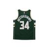 Nike Баскетбольная майка NBA Milwaukee Bucks Giannis Antetokounbpo #34 Fan Edition, мужская майка, елово-зеленая 864489-323