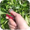 Thump Knife Separator Vegetable Fruit Harvesting Picking Tool For Farm Garden Orchard Easy To Cut In Clean And Labor-saving