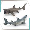 Модель акулы - морского существа для детей, образовательный экспонат, ПВХ-поделка