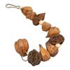 Bird Chew Toys Grinding Mouth Bite Resistance Logs Natural Nuts Hanging Parrot Chew Toys for