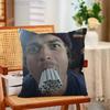 JJoe Keery Singer Funny Pillow Case Antidustmite Pillowcase Invisible Zipper Silky Short Plush Sofa Cushion Cover