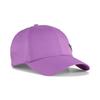 Детская шапка ESS Metal Cat BB Cap JR 026116 25 Color Wild Berry [PUMA] Весна/Лето (05)