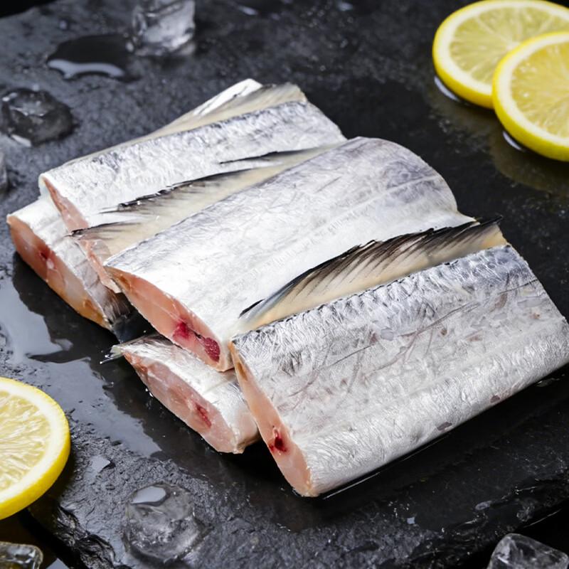 Frozen Zhoushan Hairtail Fish Fillets