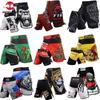 Tiger MMA Pants Combat Boxing Shorts for Men Fitness Gym Sports Jiu-Jitsu Kickboxing Muay Thai Shorts Crossfit BJJ Fight Wear