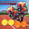 Fiberglas Pickleball Rackets Set Pickleball Paddle Set of 2 Rackets and 4 Pickleballs Balls