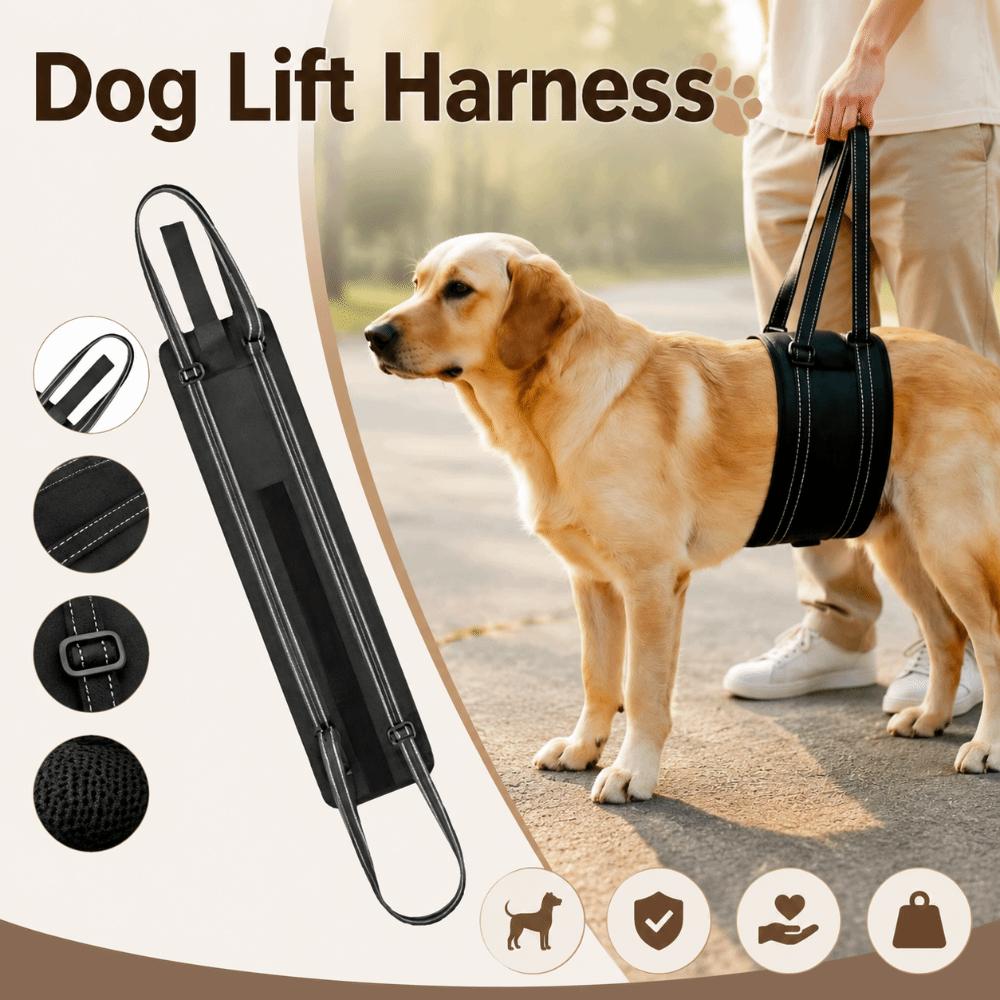 Convenient Handle Dog Support Recovery Sling Breathable Pet Rehabilitation Harness Injury Recovery