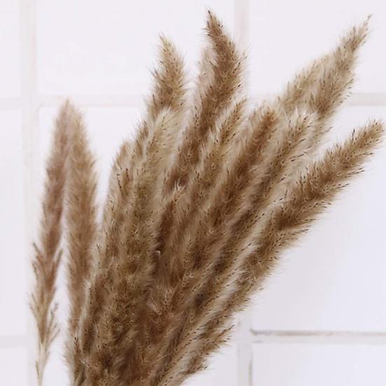 30 шт. сушеные растения, пушистые, привлекательные, 2 цвета, отличные искусственные сушеные травяные растения для домашнего использования