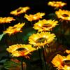 Solar Sunflower Light 1/3 Heads Waterproof Lawn Flower Lights Landscape Lamp for Home Decor Garden Yard