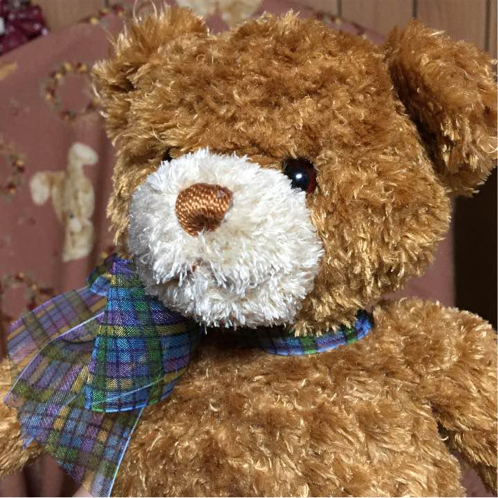 [USED] Teddy bear plush toy price reduction available