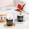 Visible Water Level Plant Flower Pot Plastic Succulent Plant Pot Self Watering Planter Pots