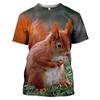 Men Summer Cute Fun Animal Squirrel Figure 3d Printed T-Shirt Casual Personality Comfortable Plus Size O Neck Short Sleeve