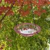 Decorative Hanging Bird Feeder with Chain - Dual-Bowl Design for Outdoor Garden & Yard, Attracts Hummingbirds