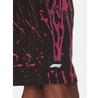Спортивные шорты Puma F1 Color Splash