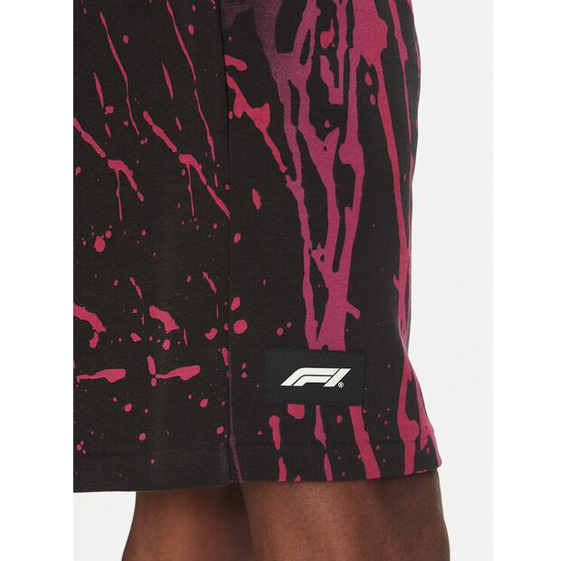 Спортивные шорты Puma F1 Color Splash