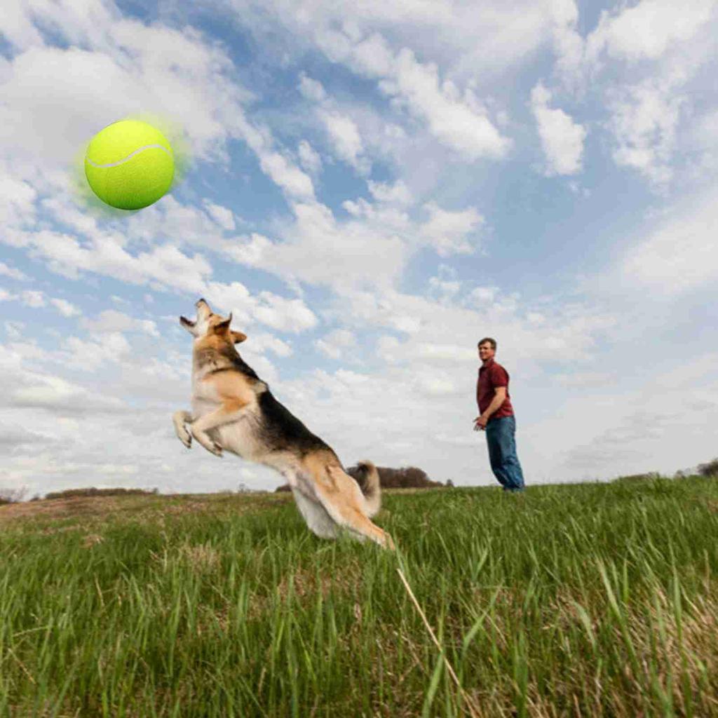 9.5‘um Oversize   Tennis  s Inflatable Tennis   with Pump Dog Toy  s For Signature Children Adult Pets Dogs Cats Fun