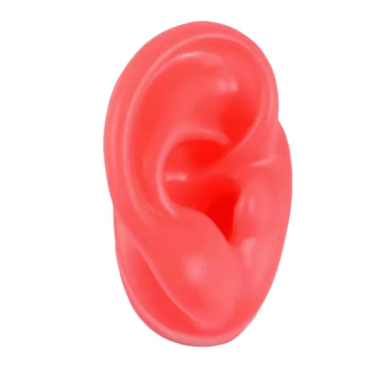5D Силиконовая Модель Искусственного Уха, Имитирующая Настоящее, Пирсинг Сережек, Пирсинг, Пирсинг, Обучение, Слуховой Аппарат, Практика Акупунктуры, Реквизит