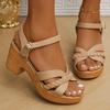 Ankle Strap High Heels Sandals for Women 2025 Summer Platform Gladiator Sandalias Mujer Weaving Cross Band Chunky Heeled Sandles