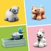 LEGO Duplo Мой дом Животные 10949