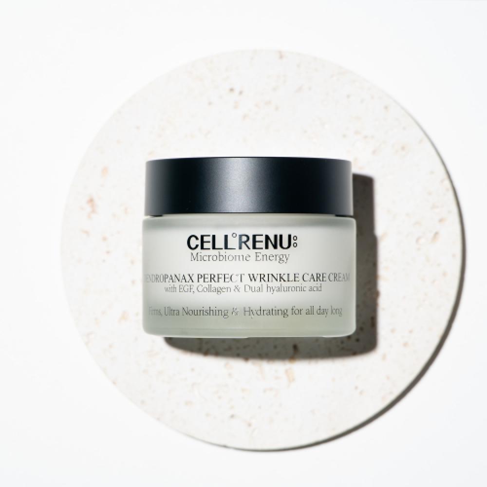 Hwangchilga Celine New Dendropanax Perfect Wrinkle Care Cream