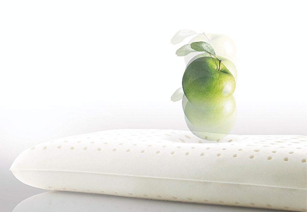 [Authentic] Sealy Anatomic White Pillow, 65cm Wide, Latex Pillow with Washable Cover