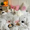 Love Cute Pet~ Thickened Milk Fleece Towel Embroidered Striped Love Rabbit Bed Four-Piece Coral Fleece 1.5 Meters