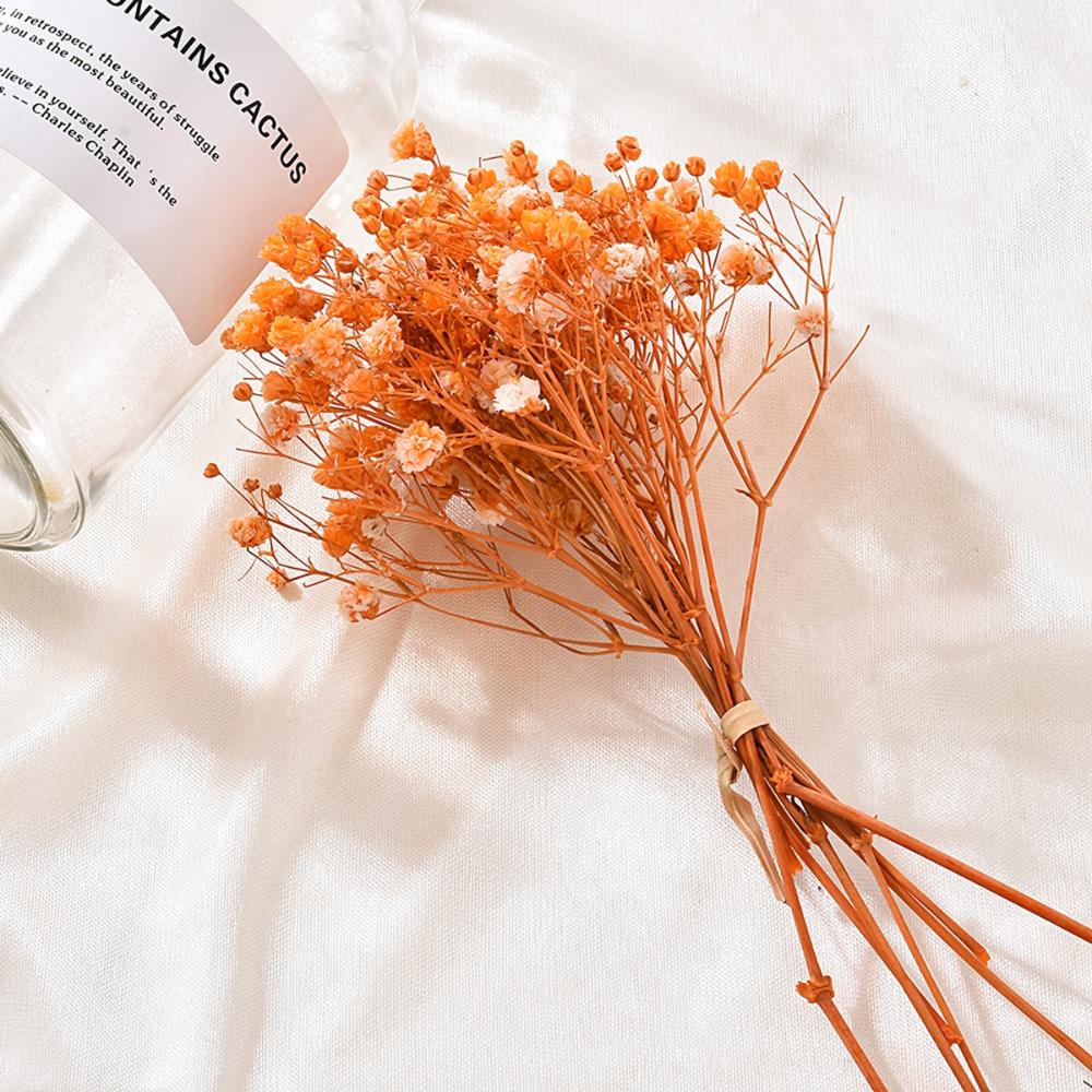 Декор Вечеринка Декоративный Мини Маленький Натуральный Гипсофила Baby's Breath Букет Сушеные Цветы Сухой Цветок