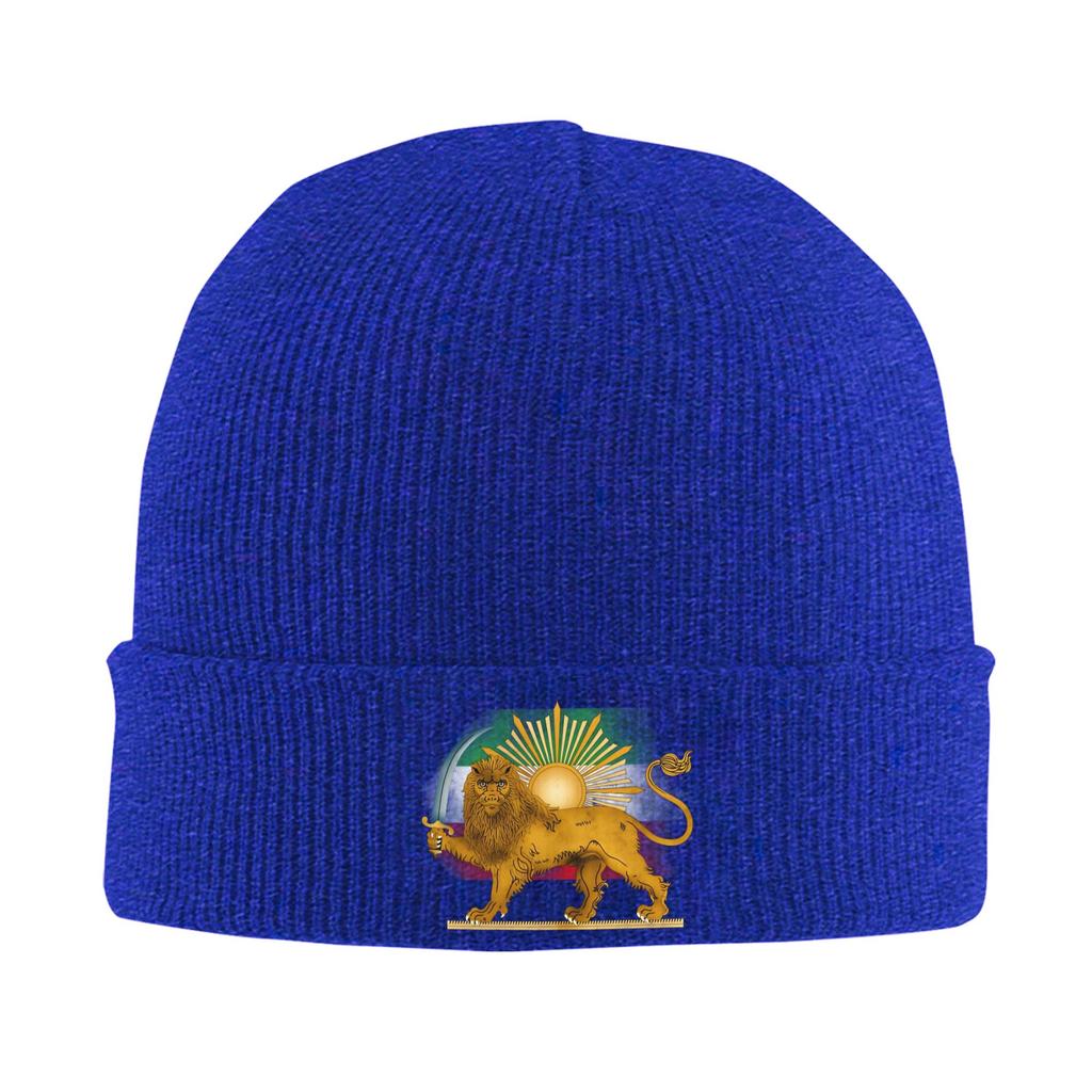 Persian Lion And Sun  Beanie Hats  Bonnet Hats Unisex Women Unisex Fashion Hippie Skullies Beanies Autumn Custom Elastic Caps