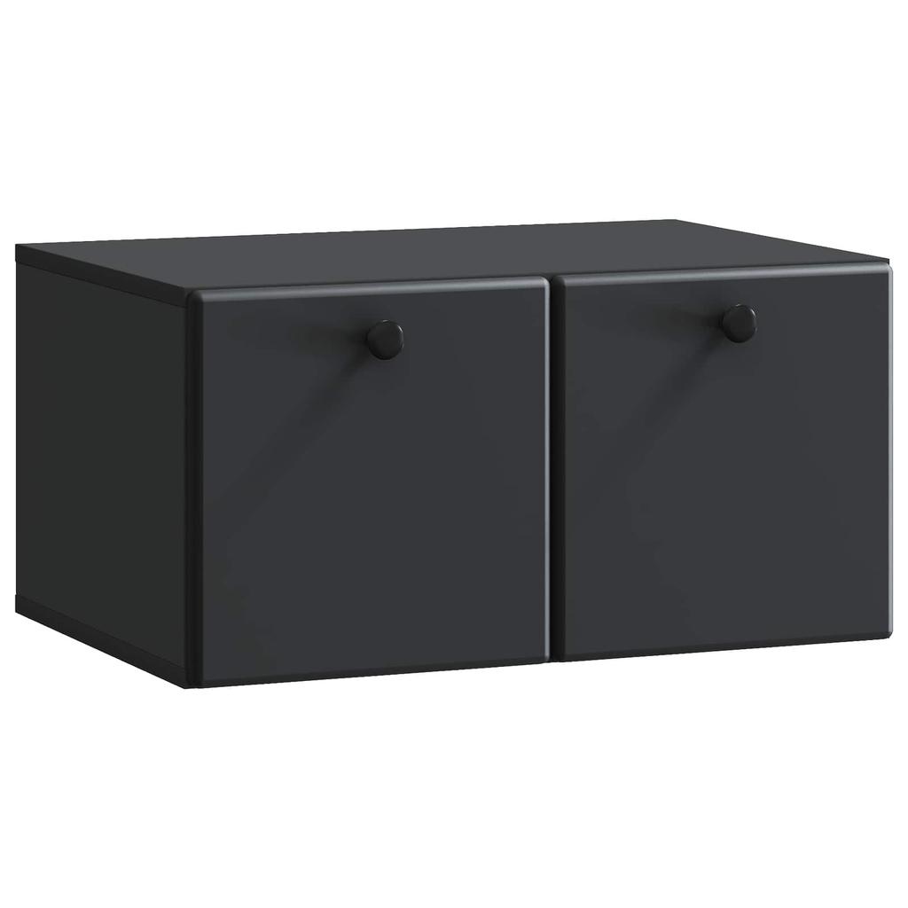 Wall Mounted TV Cabinet 59.5 x 41 x 30 cm Black