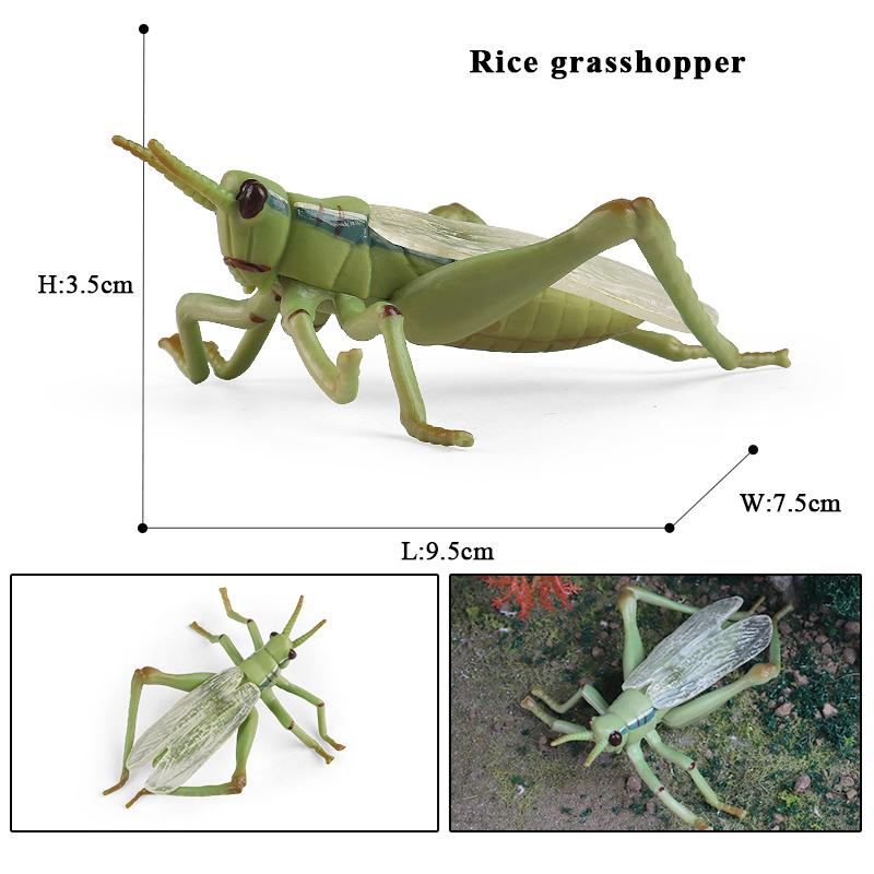 Oenux Симуляция Стрекоза Кузнечик Сороконожка Дикие Насекомые Животные Модель Фигурки Миниатюрная Образовательная Коллекция Детская Игрушка