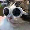 1pc-Fashionable Glasses for Cats To Take Photos, Cool Pet Accessories, ABS Material